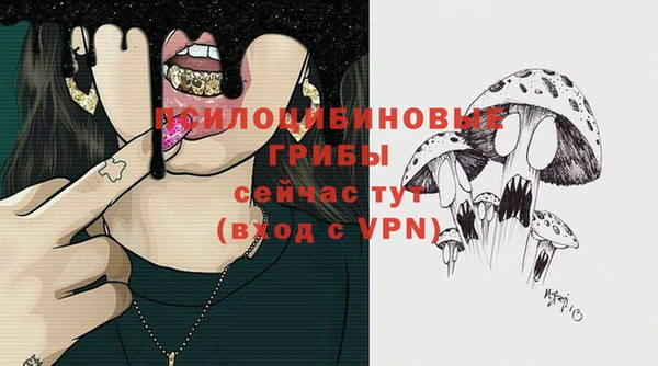 apvp Арсеньев