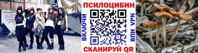 Галлюциногенные грибы Psilocybine cubensis даркнет сайт Балей