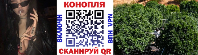 Канабис сатива Балей